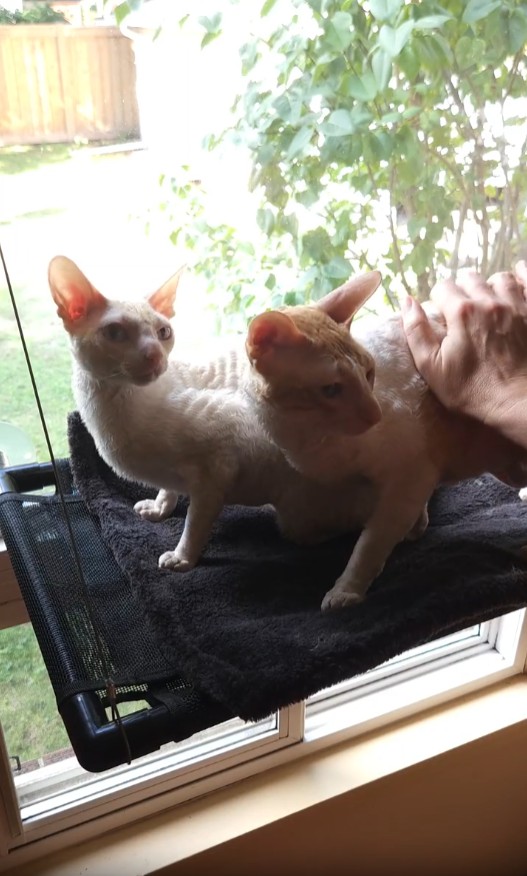 Hook example from video