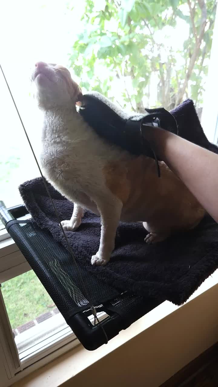 Benefits example from video